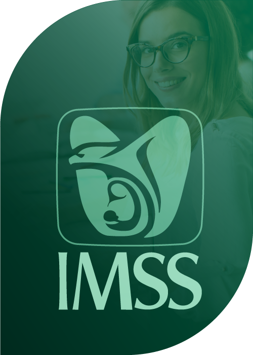 Window_Imss